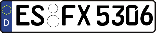 ES-FX5306