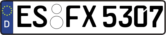 ES-FX5307