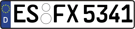 ES-FX5341