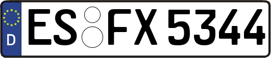 ES-FX5344