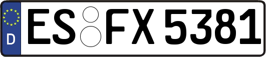 ES-FX5381