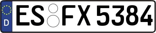 ES-FX5384