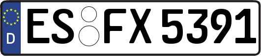 ES-FX5391