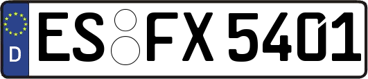 ES-FX5401