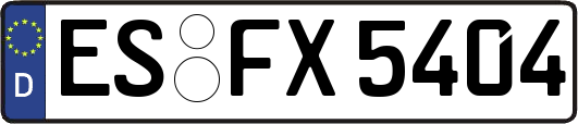 ES-FX5404