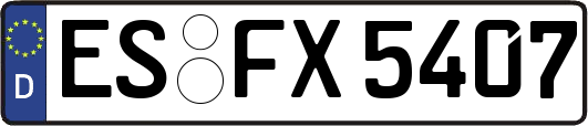 ES-FX5407