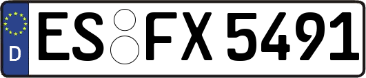 ES-FX5491