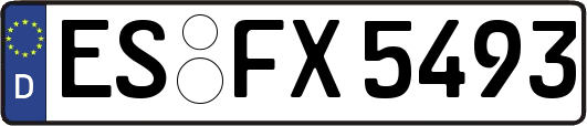 ES-FX5493