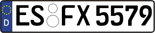 ES-FX5579