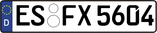 ES-FX5604