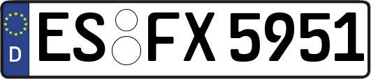 ES-FX5951