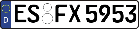 ES-FX5953