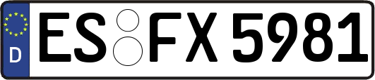 ES-FX5981