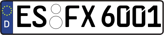 ES-FX6001