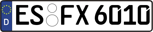 ES-FX6010
