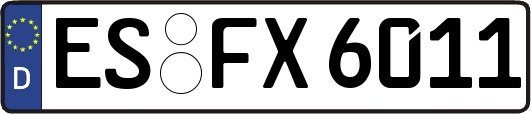 ES-FX6011