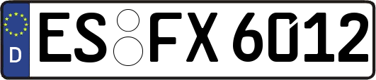 ES-FX6012