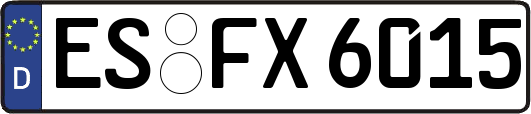 ES-FX6015