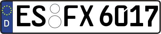 ES-FX6017