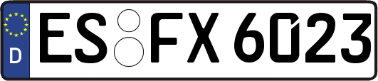 ES-FX6023