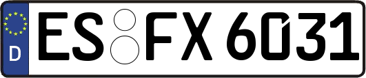 ES-FX6031