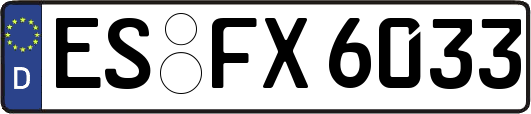 ES-FX6033