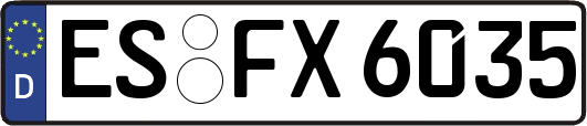 ES-FX6035