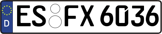 ES-FX6036