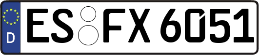 ES-FX6051
