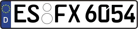 ES-FX6054