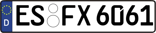 ES-FX6061