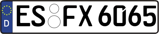 ES-FX6065