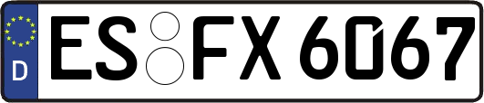 ES-FX6067