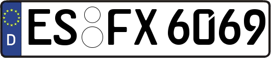 ES-FX6069
