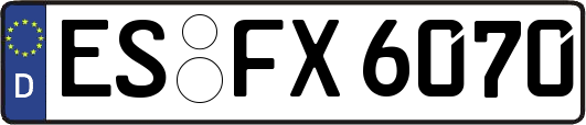 ES-FX6070
