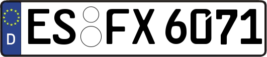 ES-FX6071