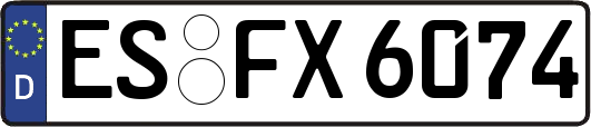 ES-FX6074