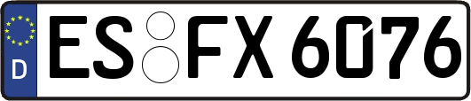 ES-FX6076