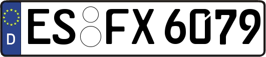 ES-FX6079