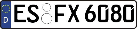 ES-FX6080