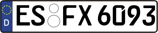 ES-FX6093