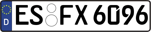 ES-FX6096