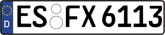 ES-FX6113