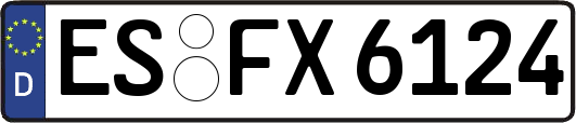 ES-FX6124