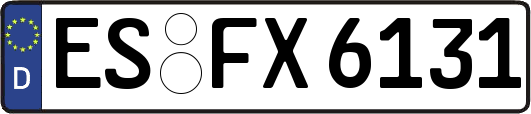 ES-FX6131