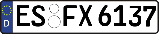 ES-FX6137