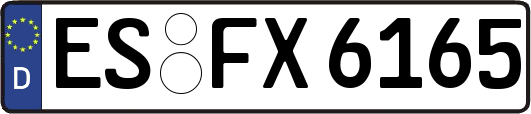 ES-FX6165