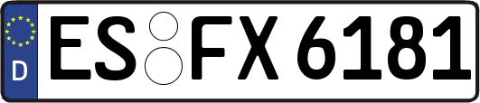 ES-FX6181
