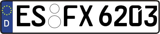 ES-FX6203