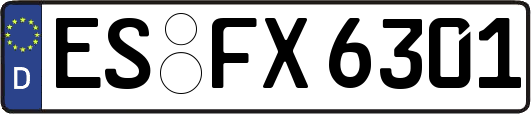ES-FX6301